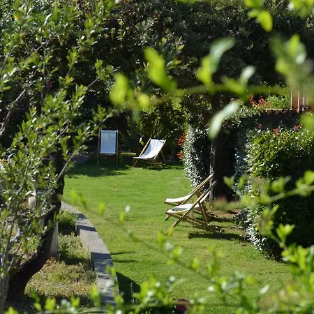 Guddelmoni * Propriano (Corsica)