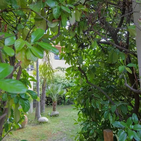 Guddelmoni Appartement Propriano (Corsica)